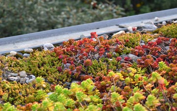 the cost of Earsdon green roof installation