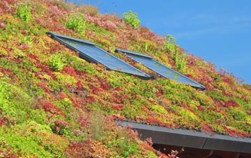 Earsdon living roof systems