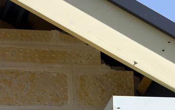 soffit repair Earsdon