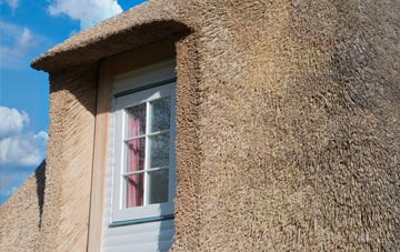 Earsdon thatch roof disadvantages