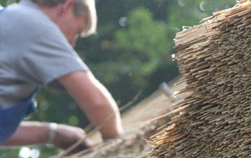 professional Earsdon thatchers