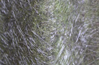 Earsdon fibreglass roof work