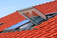 Earsdon roof window